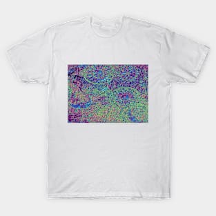 EsotericUniversalism T-Shirt